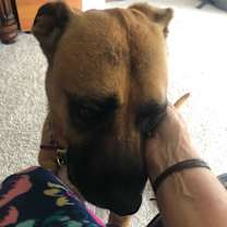 Thumbnail photo of ROMEO #3