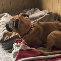 Thumbnail photo of ROMEO #2