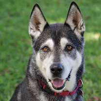 Thumbnail photo of Blake #1