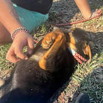 Thumbnail photo of Anya #4