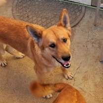 Thumbnail photo of Georgia #1