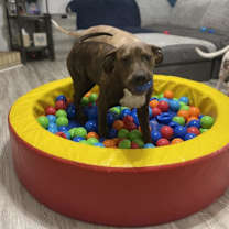 Thumbnail photo of Fergus #3