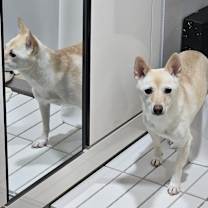 Thumbnail photo of KkotBun #2