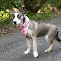 Thumbnail photo of Cindy #1