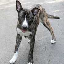 Thumbnail photo of Alex #2