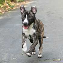 Thumbnail photo of Alex #3