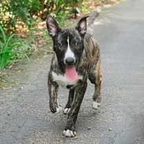 Thumbnail photo of Alex #1