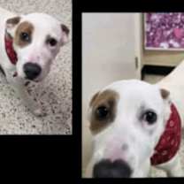 Thumbnail photo of Anya #2