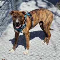 Thumbnail photo of Mic #3