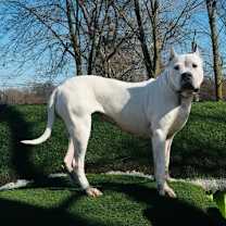 Thumbnail photo of Ellie May #4