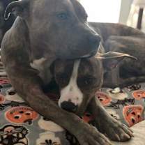 Thumbnail photo of Kale #4