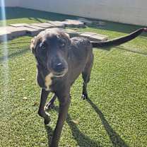 Thumbnail photo of U Turn #1