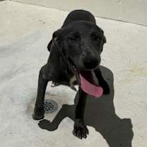 Thumbnail photo of U Turn #2