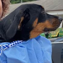 Thumbnail photo of Funyon #2