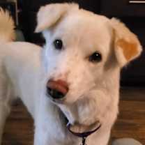 Thumbnail photo of Keira #2