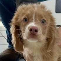 Thumbnail photo of Austin #2