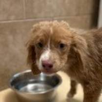 Thumbnail photo of Austin #3