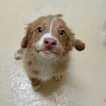 Thumbnail photo of Austin #4