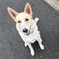 Thumbnail photo of Zen #1