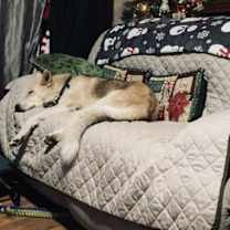 Thumbnail photo of Zen #4