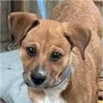 Thumbnail photo of Stacey #1