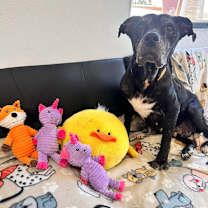 Thumbnail photo of Celeste  #1