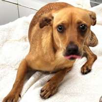 Thumbnail photo of 161032 #1