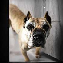 Thumbnail photo of Gloria #3