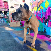 Thumbnail photo of Gloria #4