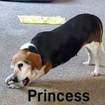 Thumbnail photo of Princess #3