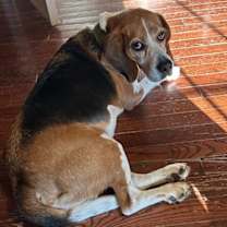 Thumbnail photo of Fletcher Hayes #2