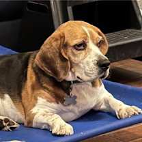 Thumbnail photo of Fletcher Hayes #4