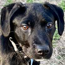 Thumbnail photo of Fiona #1