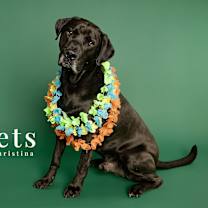 Thumbnail photo of Mr Eggerson Keaveney #1