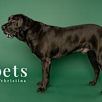 Thumbnail photo of Mr Eggerson Keaveney #2