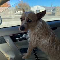 Thumbnail photo of Zuko #2