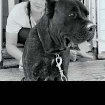 Thumbnail photo of Smokey #2