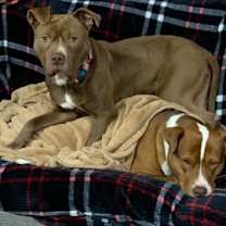 Thumbnail photo of Mars #3