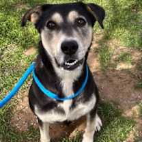 Thumbnail photo of Belinda #1