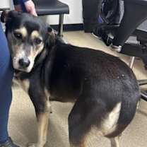 Thumbnail photo of Belinda #2