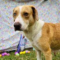 Thumbnail photo of Flo #3