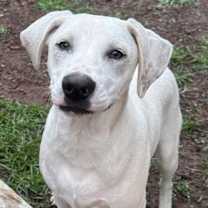 Thumbnail photo of Eggo #2