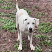 Thumbnail photo of Eggo #3