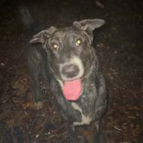 Thumbnail photo of Morgan #2