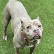 Thumbnail photo of Mocha #2