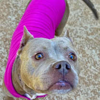 Thumbnail photo of Mocha #4