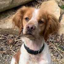 Thumbnail photo of TN/Pete #1