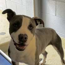 Thumbnail photo of Cyprus #2