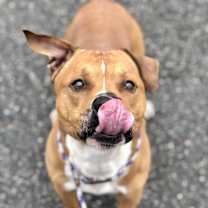 Thumbnail photo of Parker James #3