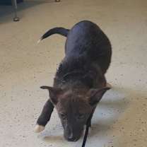 Thumbnail photo of Genzai 7334 #2